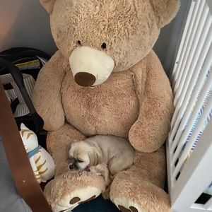 Meet your Posher, Mary